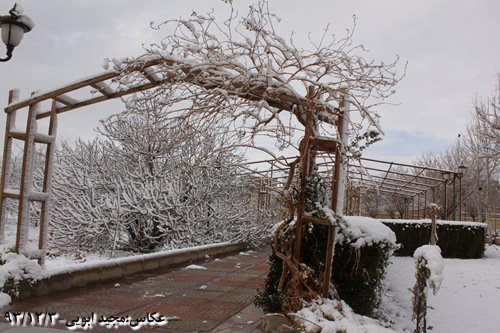 خاطرات ۱ — تصویر ۲