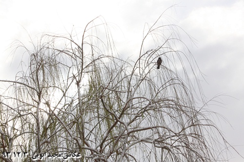 خاطرات ۱ — تصویر ۴